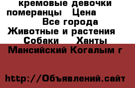 кремовые девочки померанцы › Цена ­ 30 000 - Все города Животные и растения » Собаки   . Ханты-Мансийский,Когалым г.